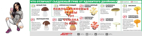 ГАЛЛЮЦИНОГЕННЫЕ ГРИБЫ Бронницы