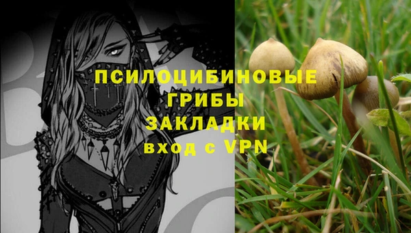 ГАЛЛЮЦИНОГЕННЫЕ ГРИБЫ Бронницы