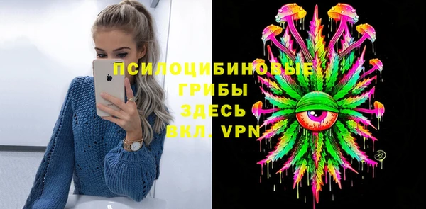 ГАЛЛЮЦИНОГЕННЫЕ ГРИБЫ Бронницы